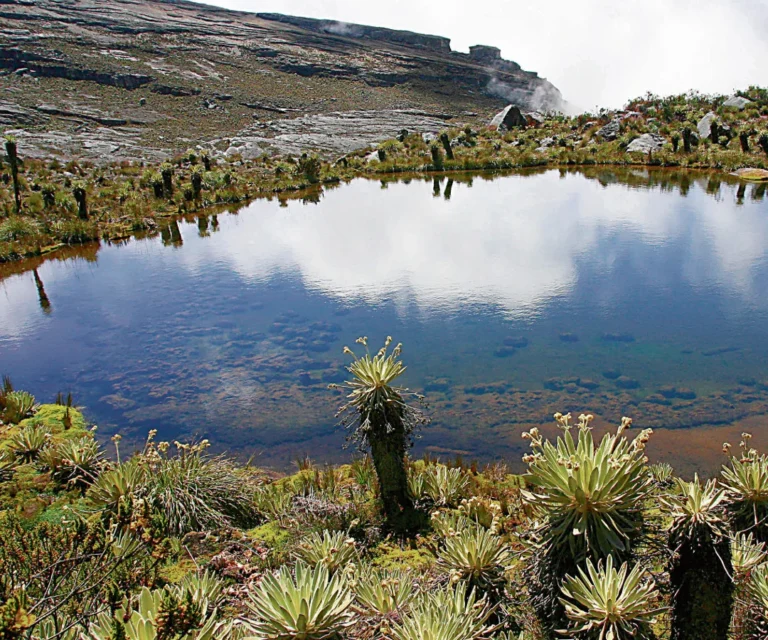 precios Planes todo incluido para totdo tipo de eventos sociales y empresariales en Sumapaz Cundinamarca